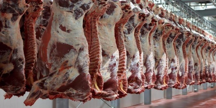 ثبات قیمت گوشت و دام زنده در بازار زایش‌های پاییزی