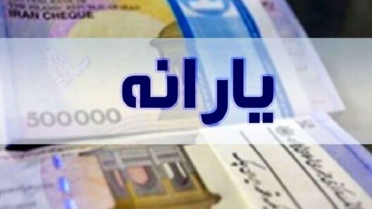 جزئیات روش جدید شناسایی مشمولان یارانه و کالا اعلام شد