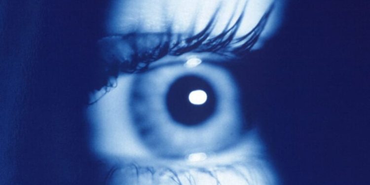 Close-up of a blue eye with a large, dark pupil and prominent lashes, looking straight ahead.