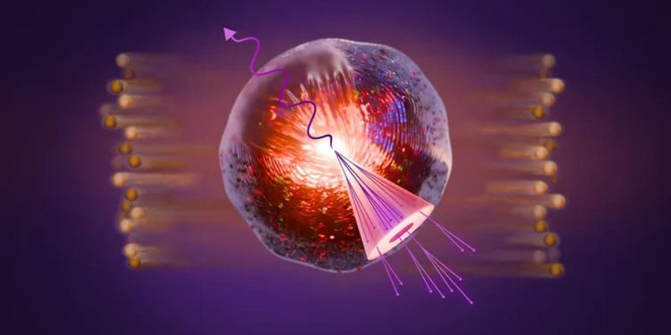 دانشمندان با بازسازی سوپ اولیه بیگ بنگ به کشف غیرمنتظره ای دست یافتند. 1 Abstract science illustration of a glowing cell with a pink funnel-shaped device emitting purple strands of light