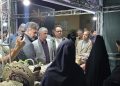 رویداد ملی شکرانه خرما با افتتاح نمایشگاه تخصصی خرما و