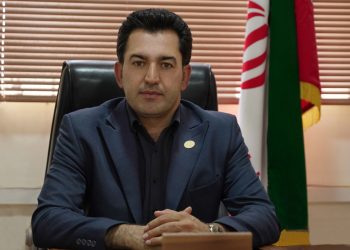 زیتون ایران در تنگنای تولید و بازار؛ از بحران انرژی