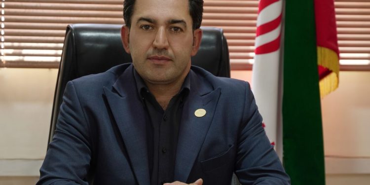 زیتون ایران در تنگنای تولید و بازار؛ از بحران انرژی