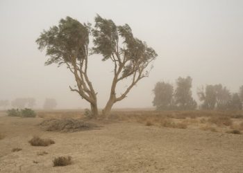 سرعت باد در زابل به ۱۰۸ کیلومتر بر ساعت رسید