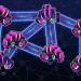 شکستن رکورد تاریخی بلاک چین Sui دستیابی به 40 میلیون