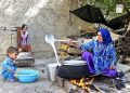 صدور بیش از ۵۸ هزار پروانه کسب برای زنان روستایی 17 صدور بیش از ۵۸ هزار پروانه کسب برای زنان روستایی