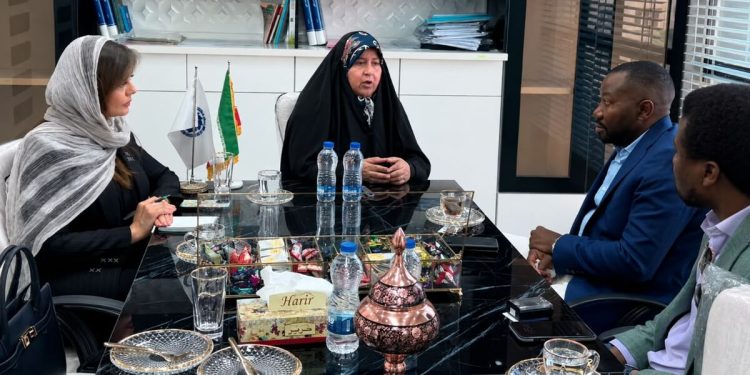ظرفیت‌های سرمایه‌گذاری و مزیت‌های تجاری خوزستان به سرمایه‌گذاران آفریقایی منتقل