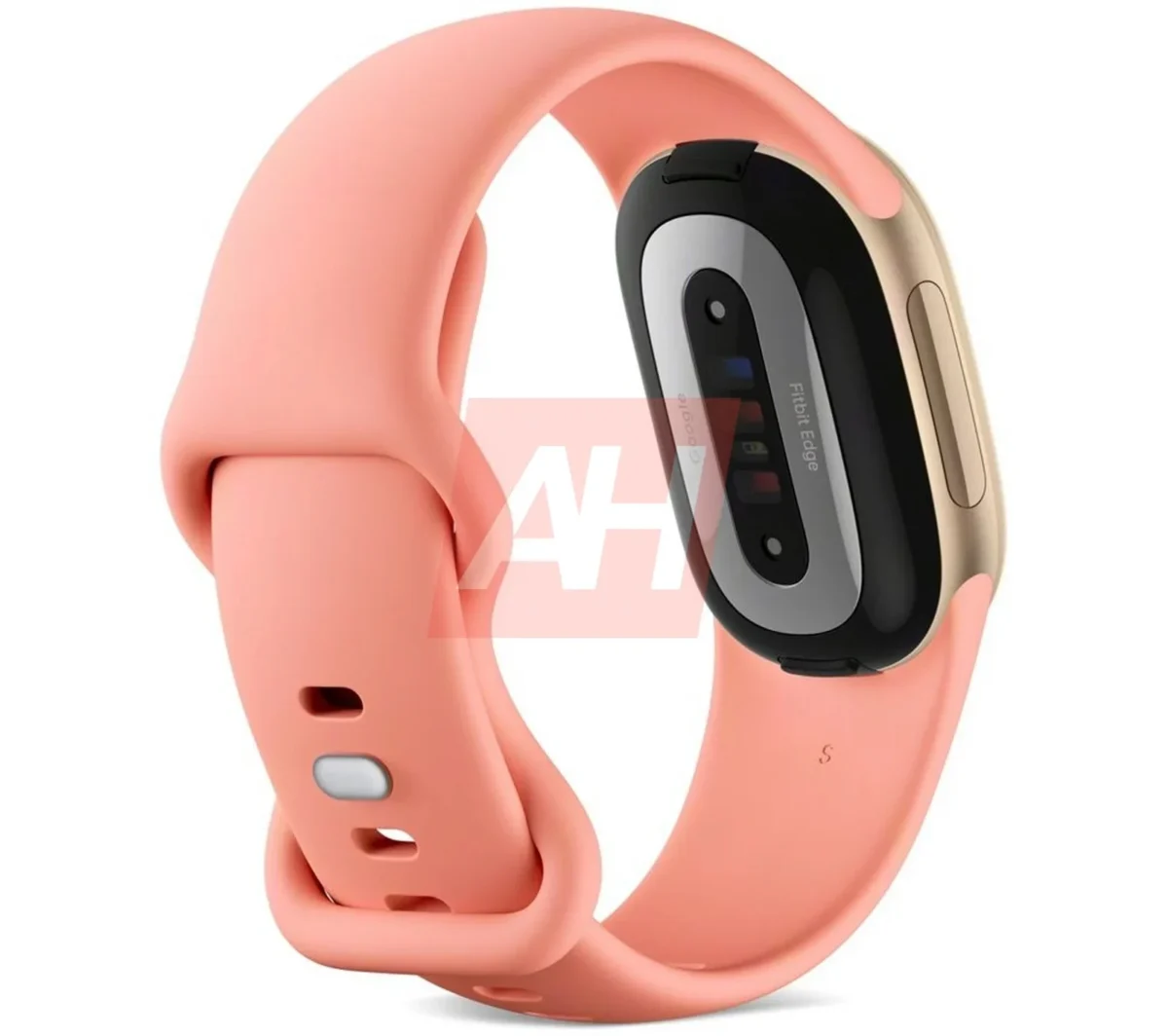 فیت بیت اج گوگل فاش شد. ردیاب سلامت جدید با برنامه و اعلان ها 3 پشت بدنه Fitbit Edge گوگل و حسگرهای سلامت