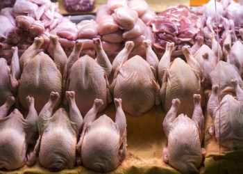 قیمت انواع مرغ ۲۱ مهر ۱۴۰۵