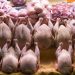 قیمت انواع مرغ ۲۱ مهر ۱۴۰۵