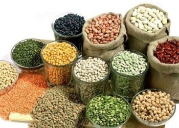 قیمت جدید حبوبات در بازار چقدر است؟ 2 قیمت جدید حبوبات در بازار چقدر است؟