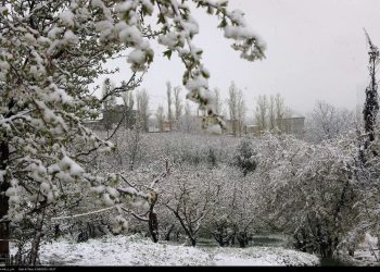 موج جدید بارش‌ها از پنجشنبه وارد کشور می‌شود؛ برف پاییزی