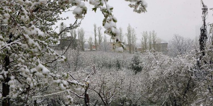 موج جدید بارش‌ها از پنجشنبه وارد کشور می‌شود؛ برف پاییزی