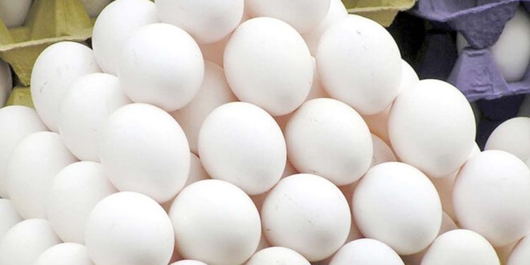 موج جدید گرانی ها در بازار تخم مرغ هر شانه