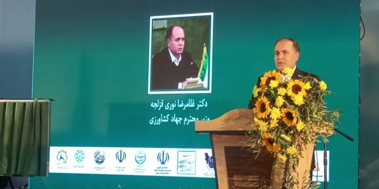 وزیر جهاد کشاورزی: ۱۰۸ رقم جدید زیتون از اسپانیا وارد میشود 1 وزیر جهاد کشاورزی ۱۰۸ رقم جدید زیتون از اسپانیا وارد