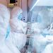پایان وضعیت هشدار طاعون در «سیبری» 8 پایان وضعیت هشدار طاعون در سیبری