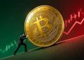 یک سال پس از سقوط ۱۹ میلیارد دلاری؛ بیت کوین